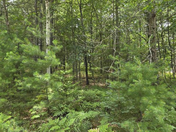 Lakewood Drive, Oscoda, MI 48750