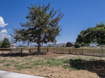 305 Comstock Rd. Road, Dayton, NV 89403 Photo