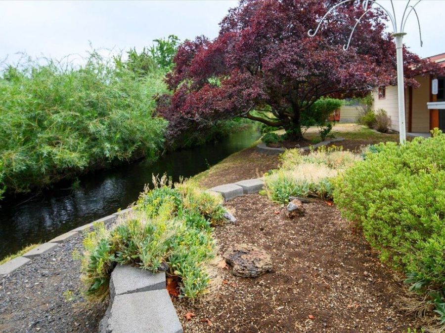 Property Image 56