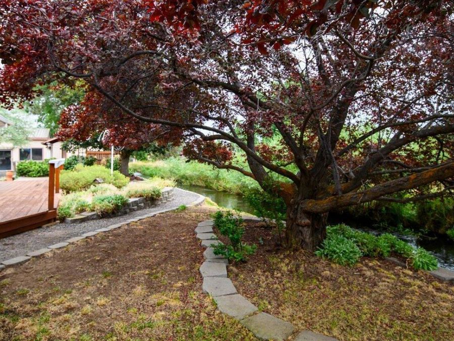 Property Image 57