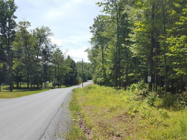 Co Hwy 73 , Swan Lake, NY 12783