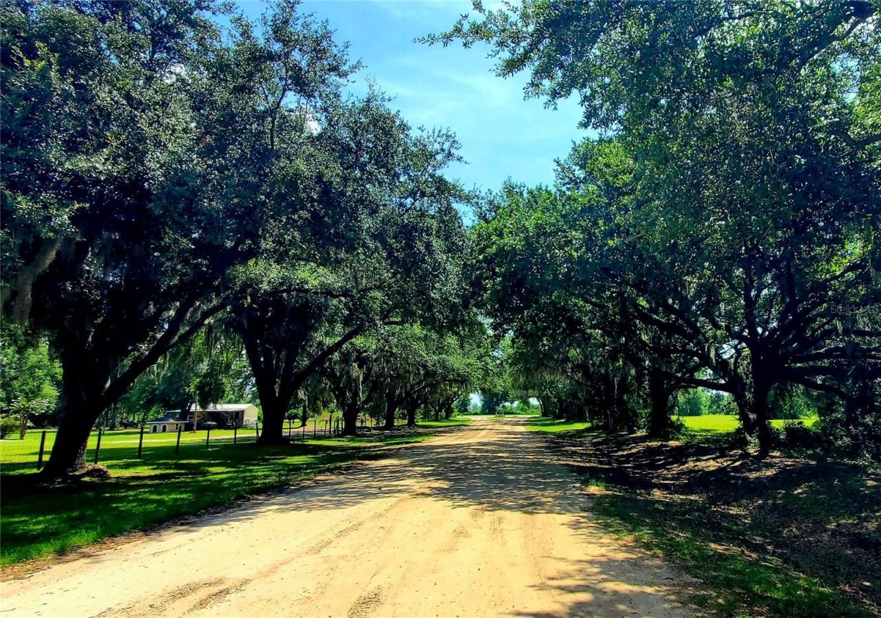 Lot11 NW 63rd Blvd, Jennings, FL 32053 Photo
