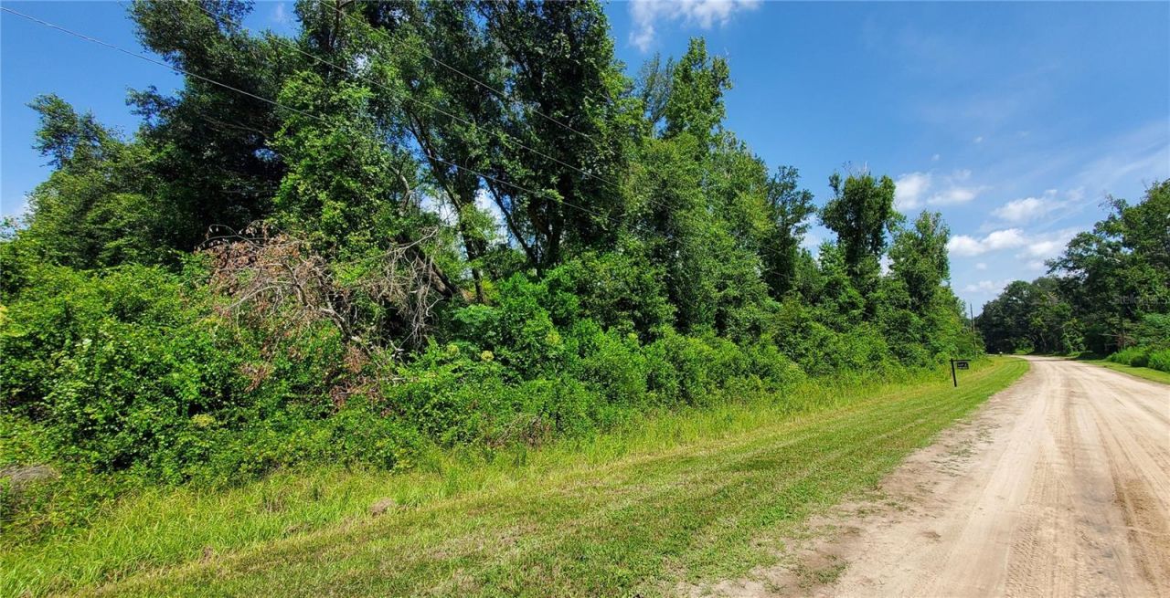 Lot11 NW 63rd Blvd, Jennings, FL 32053 Photo