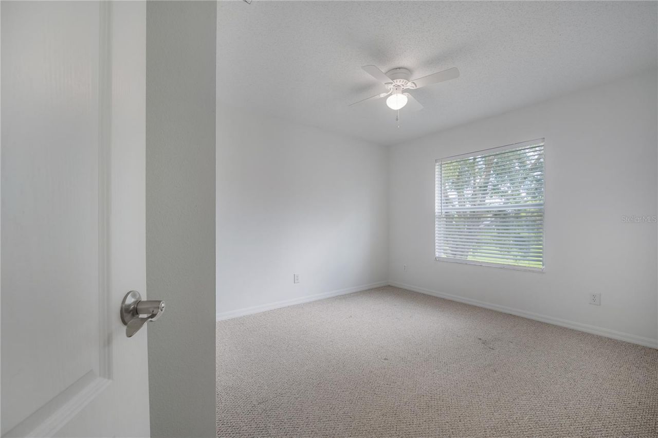 4716 Mapletree Loop, Wesley Chapel, FL 33543 Photo