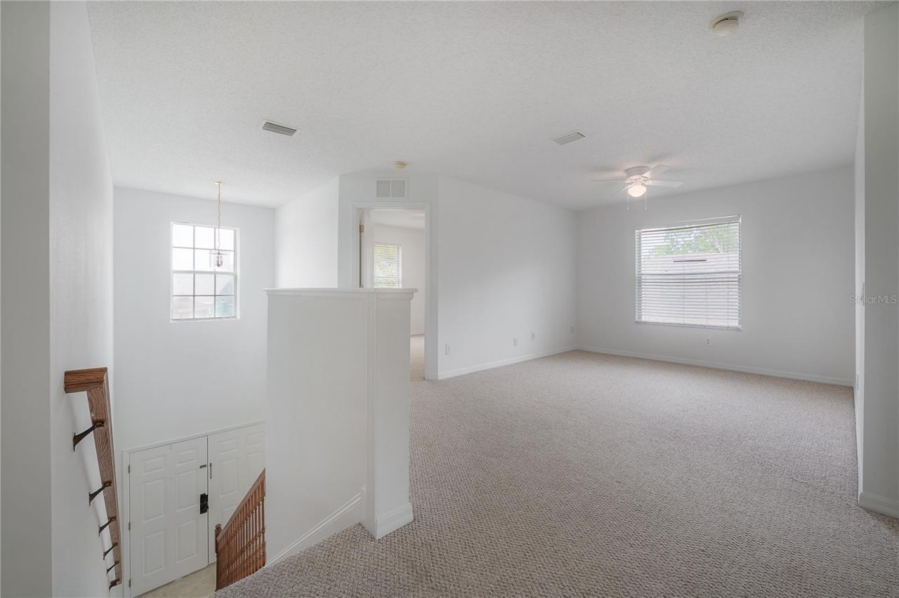 4716 Mapletree Loop, Wesley Chapel, FL 33543 Photo