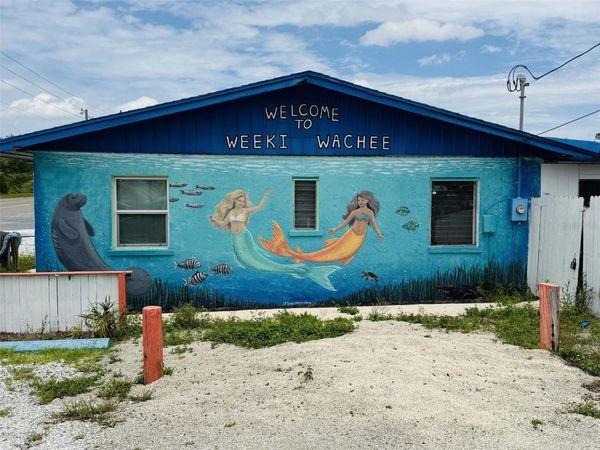 8061 CORTEZ BOULEVARD , WEEKI WACHEE, FL 34607