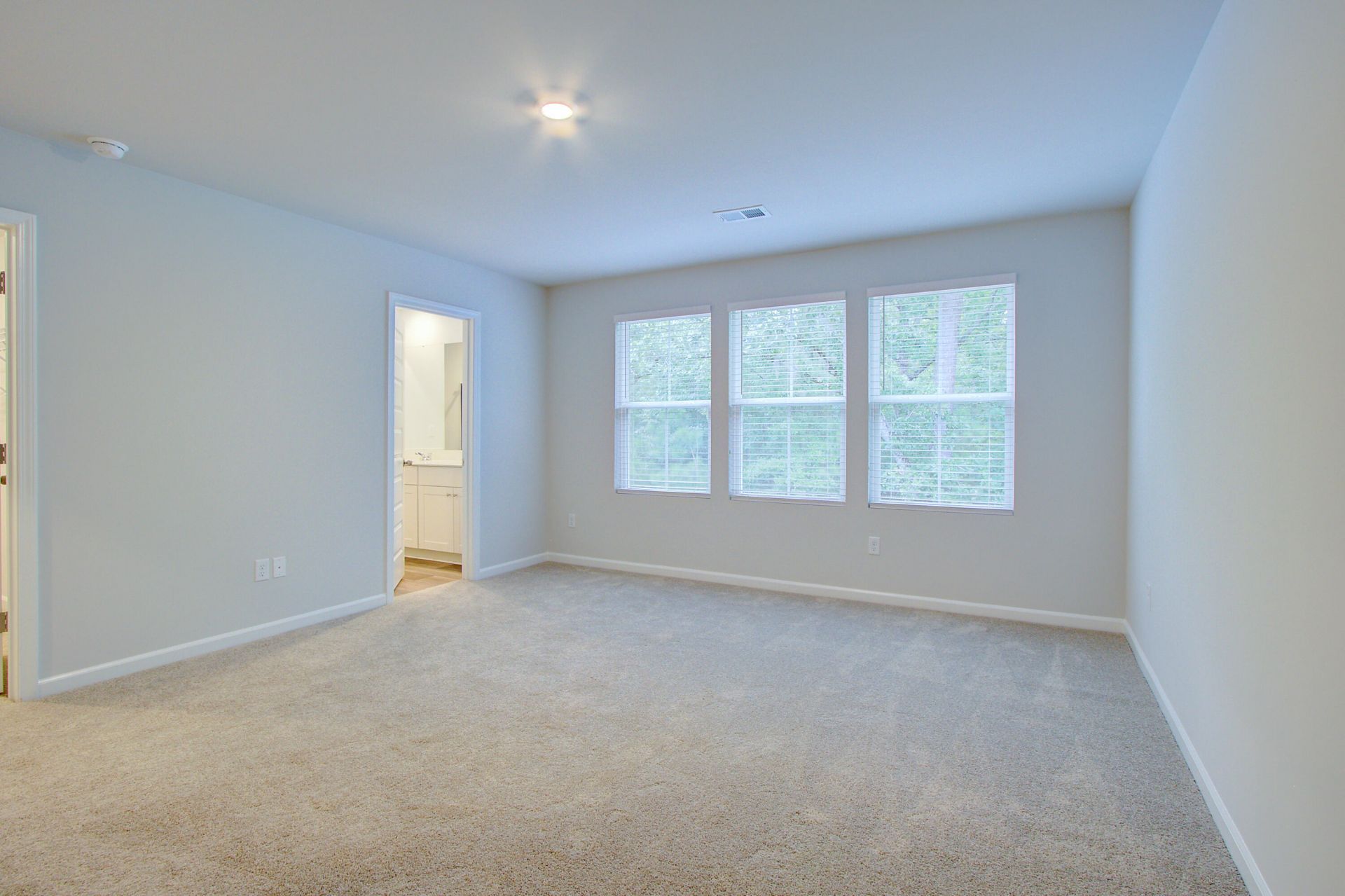 169 Fern Bridge Drive Photo 12