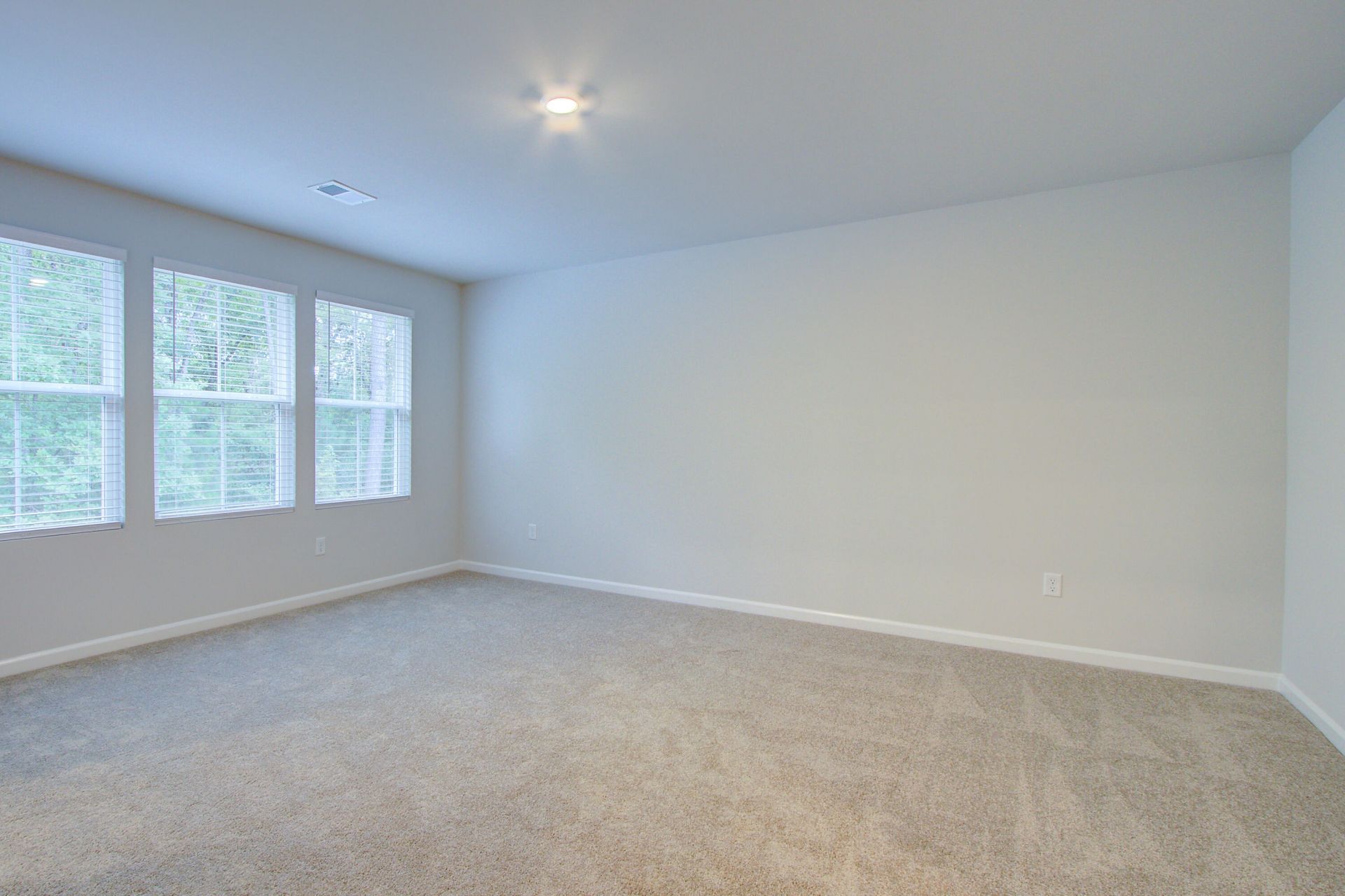 169 Fern Bridge Drive Photo 13