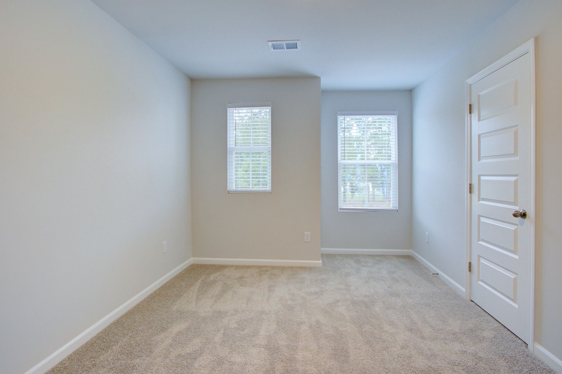 169 Fern Bridge Drive Photo 18
