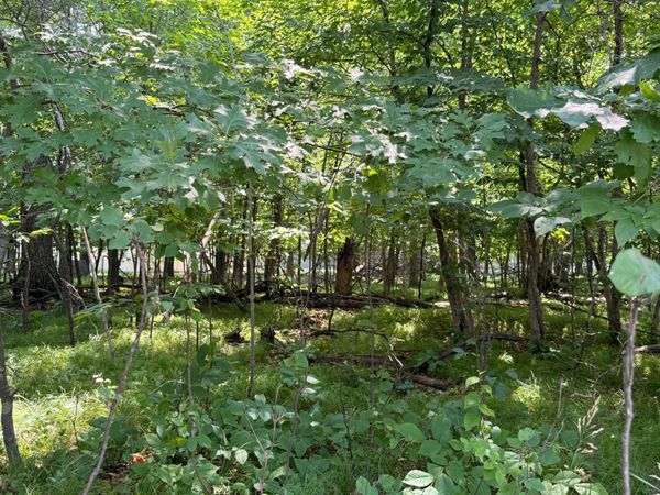 TBD Breezy Point Boulevard , Breezy Point, MN 56472