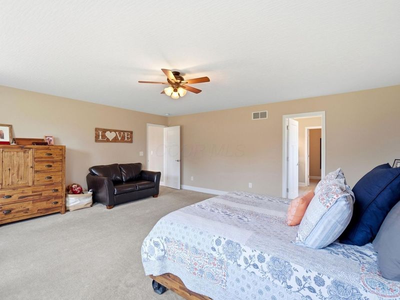 6473 Sherman Road, Galena, OH 43021 Photo 41