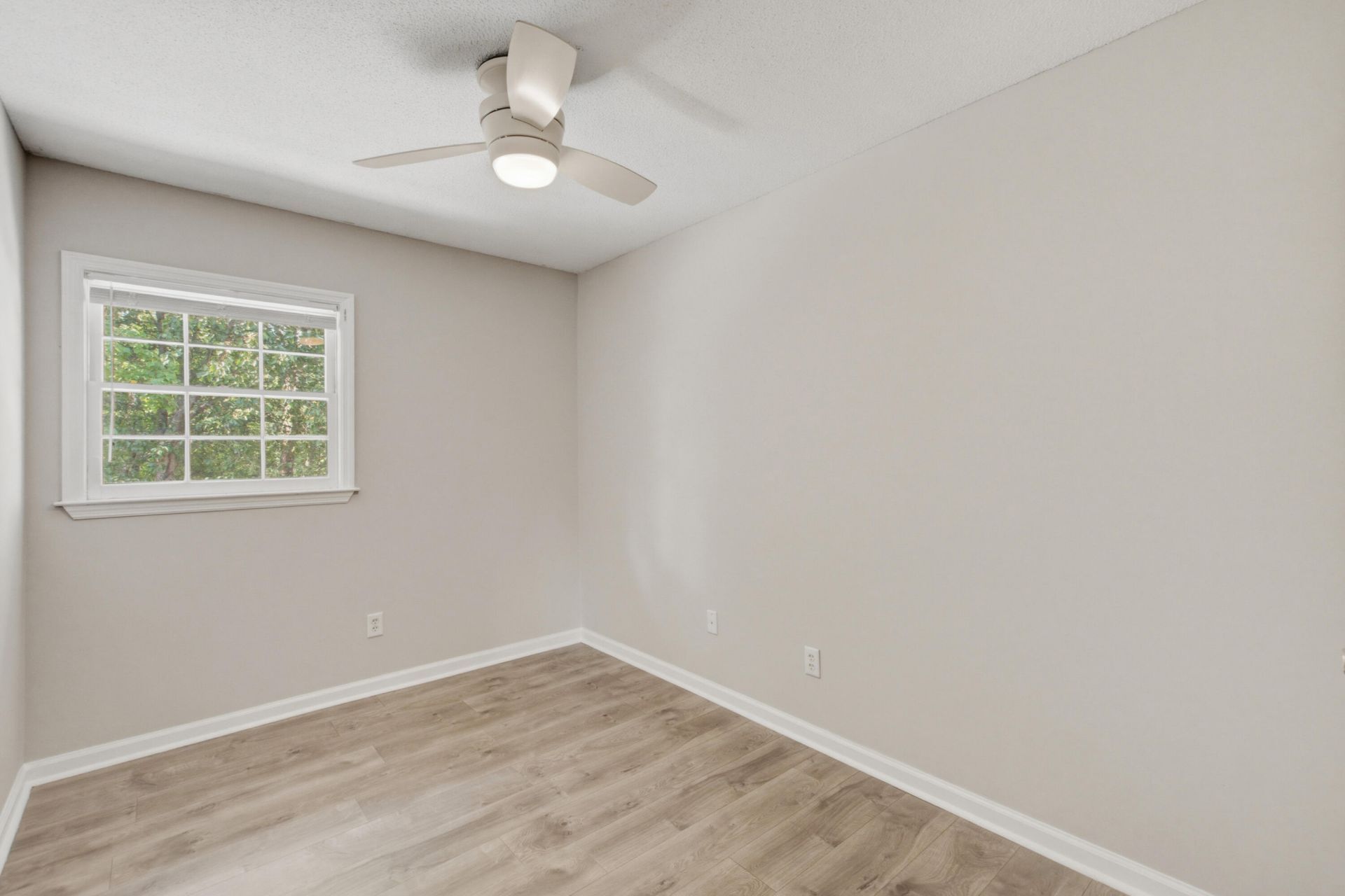 114 Brush Boulevard Photo 19