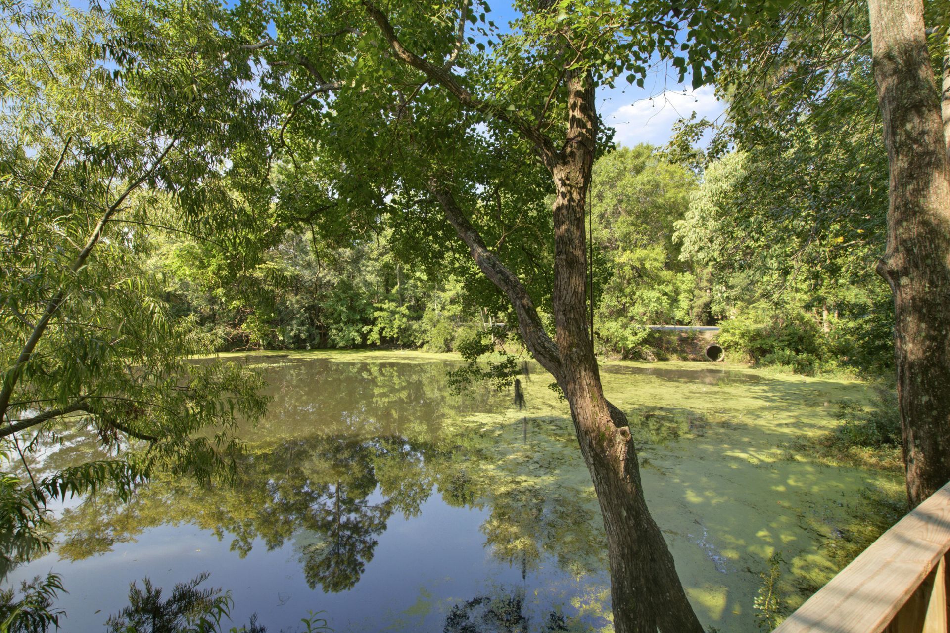 114 Brush Boulevard Photo 36