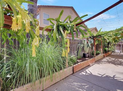 4517 Winje Dr, Antelope, CA 95843 Photo