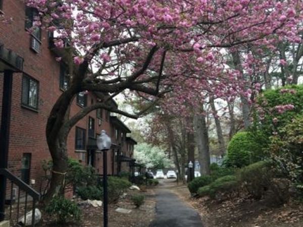 1323 Worcester Road, Unit H8, Framingham, MA 01701