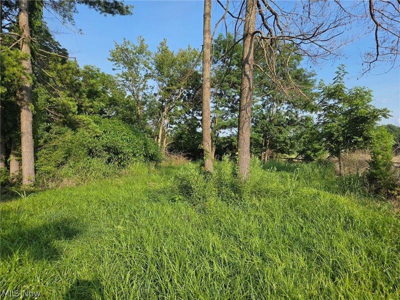 1704 Vanderhoof Road, Coolville, OH 45723 Photo 13