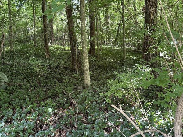 2506 Shaler Lane, Knoxville, TN 37920