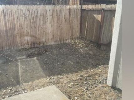 4003 Village Drive, Carson City, NV 89701 Photo