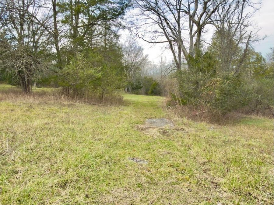 Property Image 82