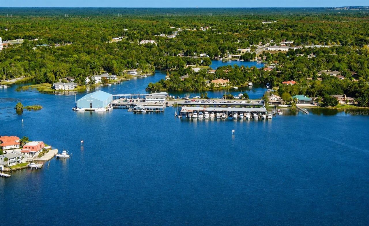 3619 N Suwannee Point , Crystal River, FL 34428 Photo