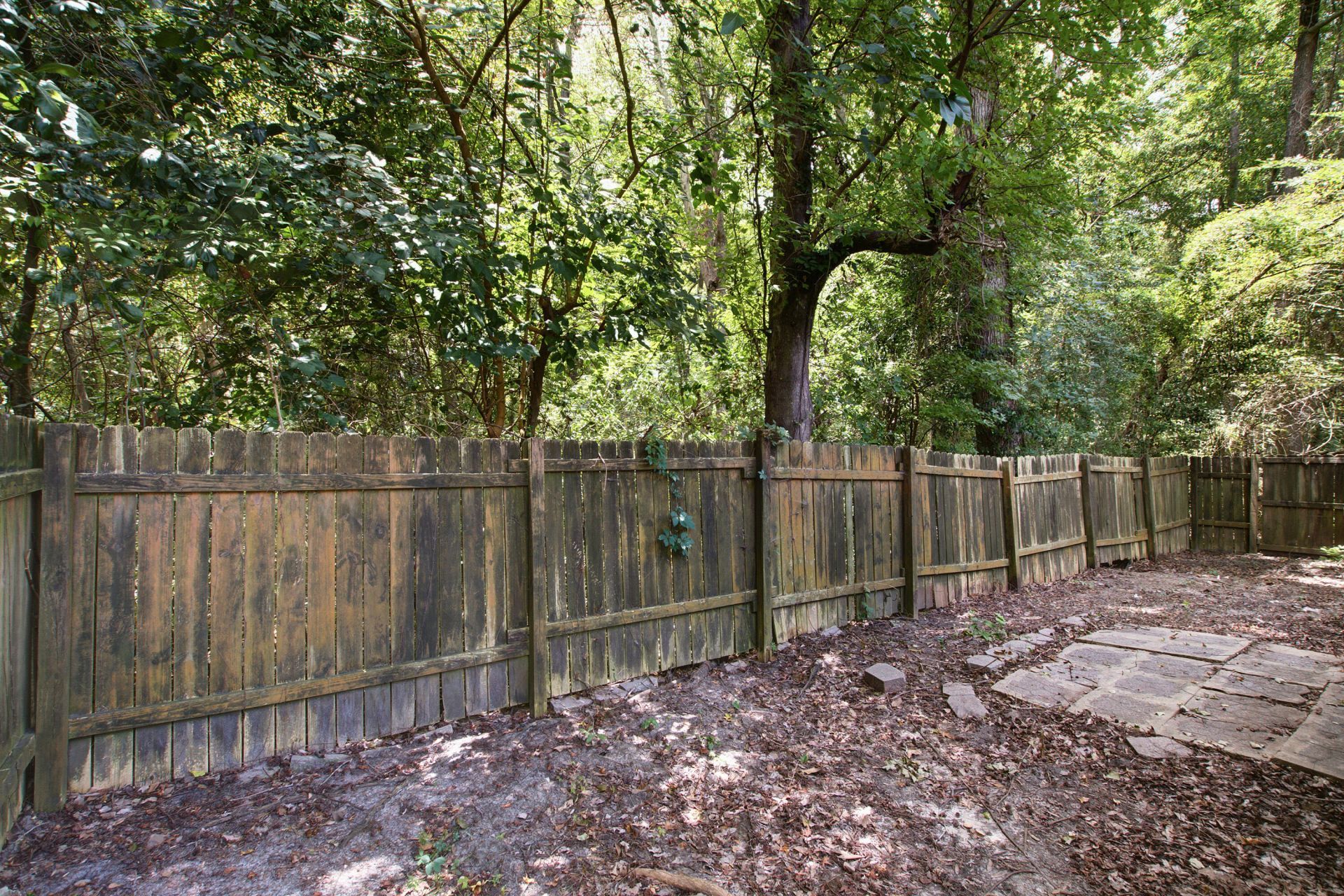 2515 Realm Street Photo 32