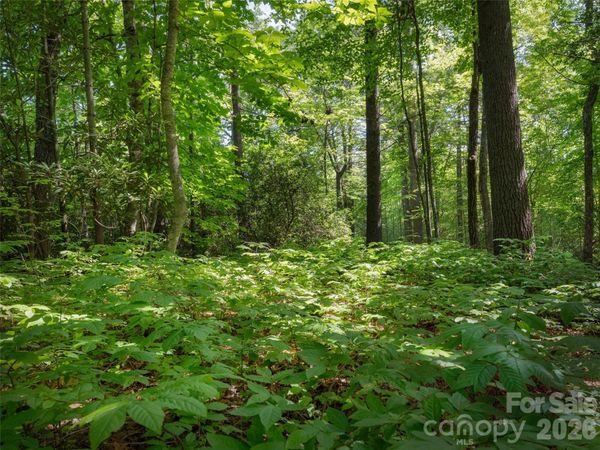 Lot 161 Eagle Lake Drive, Brevard, NC 28712