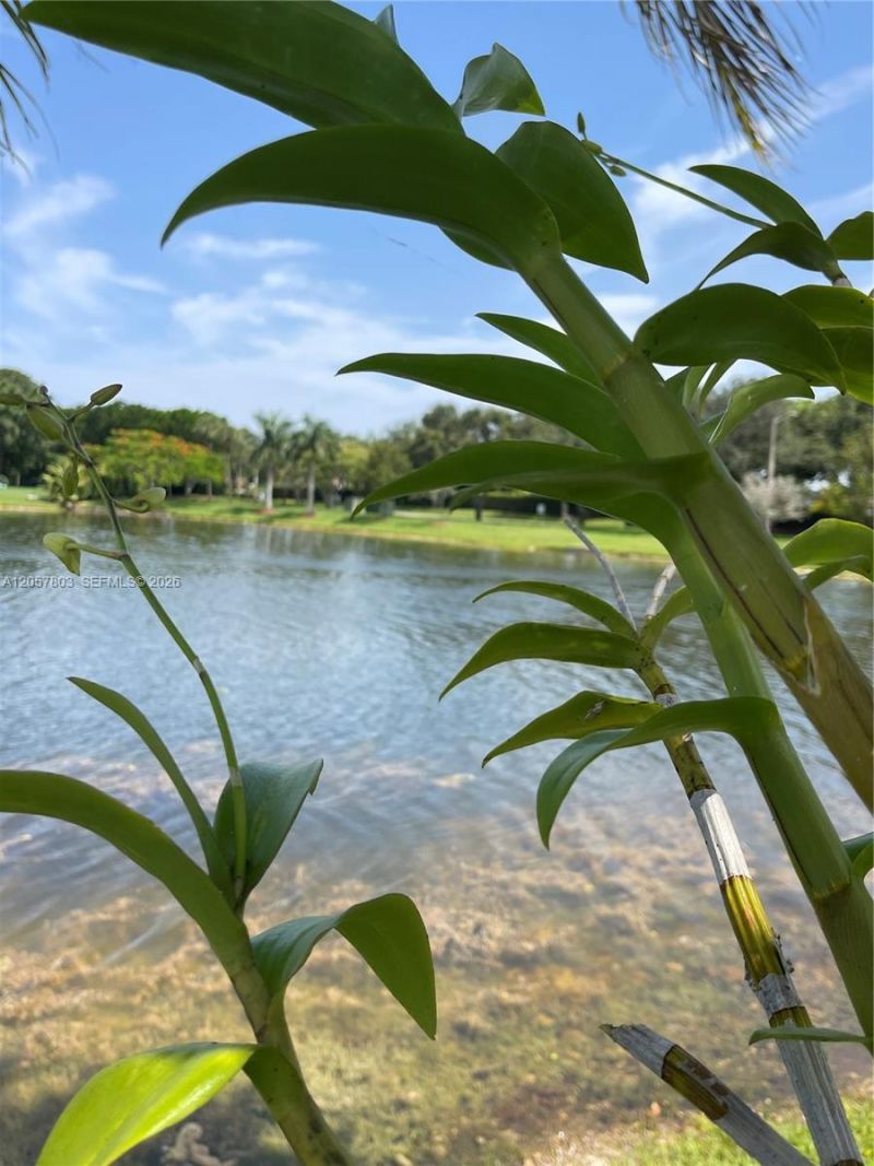 340 SW 167th Ave, Pembroke Pines, FL 33027 Photo