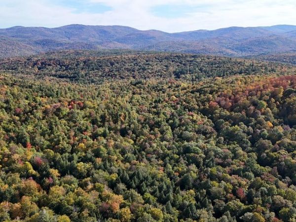 0 Black Bear Road, Jamaica, VT 05343