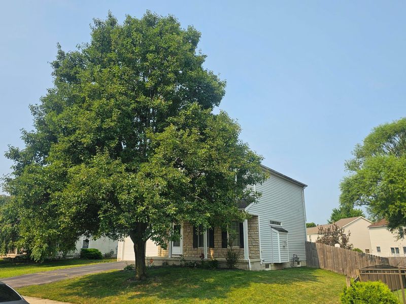 2883 Jared Place, Columbus, OH 43219 Photo 3