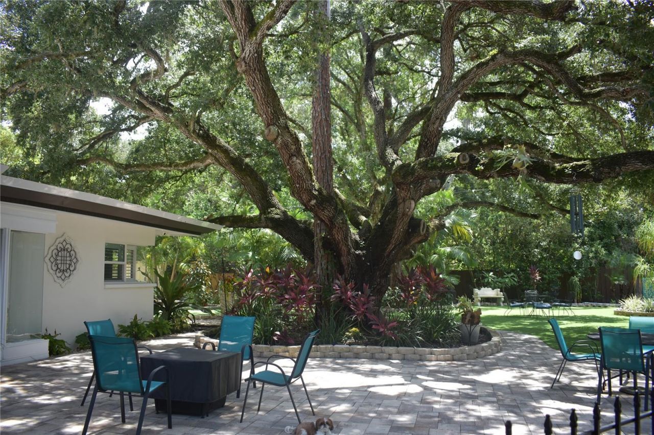 1653 Sunnybrook Lane , Clearwater, FL 33764 Photo