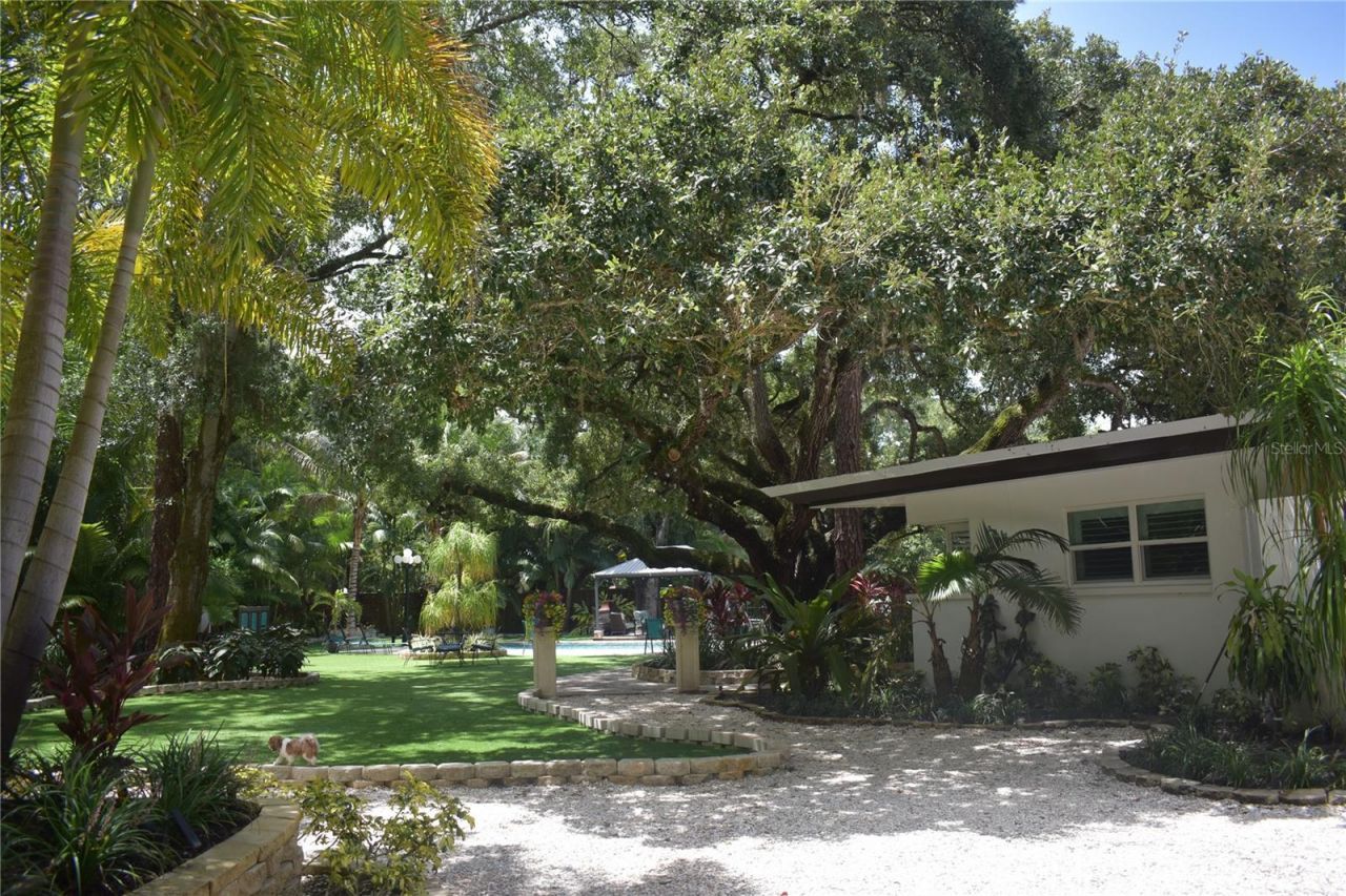 1653 Sunnybrook Lane , Clearwater, FL 33764 Photo
