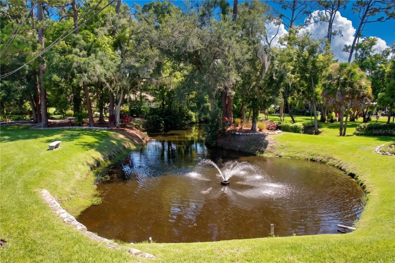 1653 Sunnybrook Lane, Clearwater, FL 33764 Photo