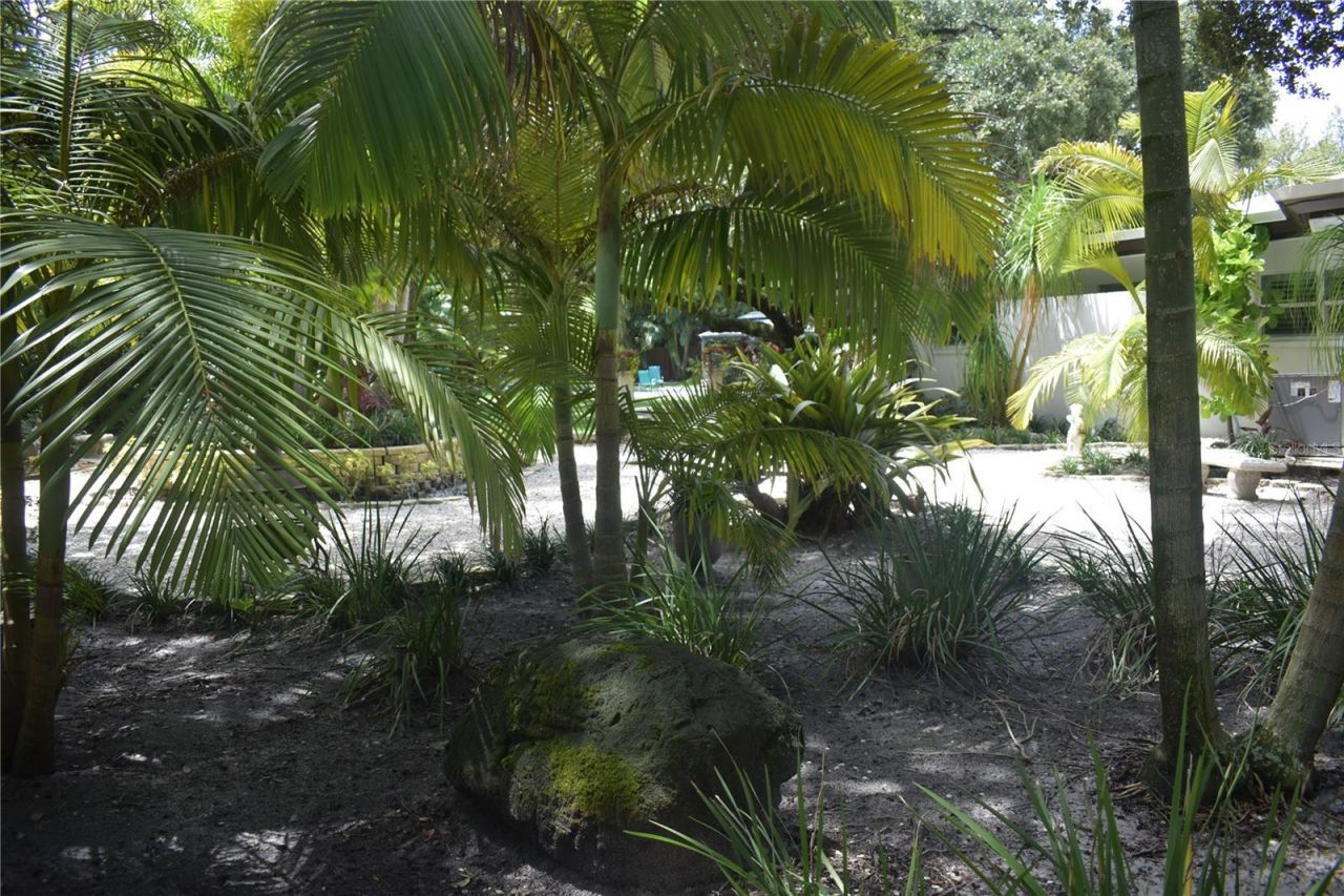 1653 Sunnybrook Lane , Clearwater, FL 33764 Photo
