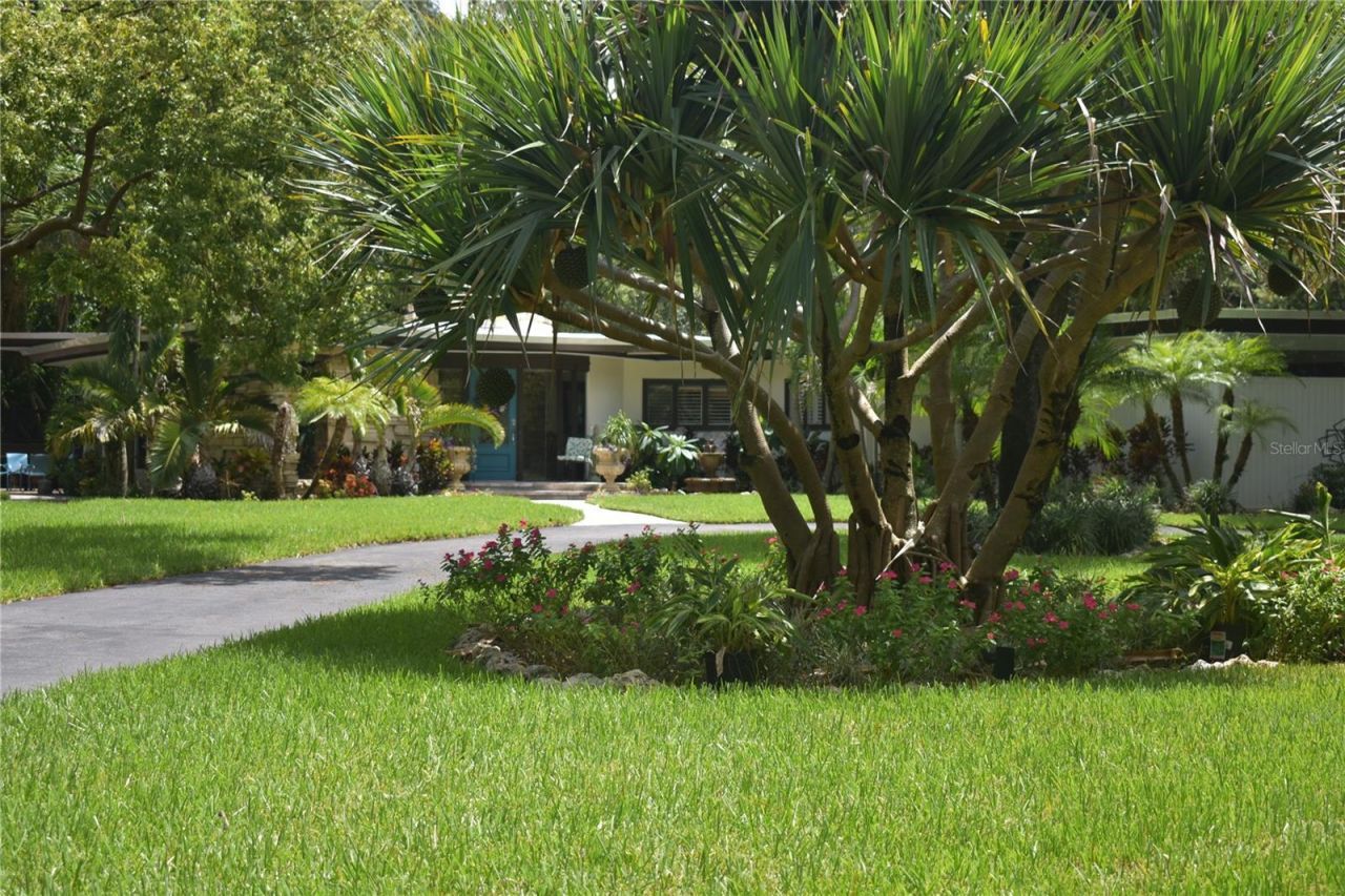1653 Sunnybrook Lane , Clearwater, FL 33764 Photo
