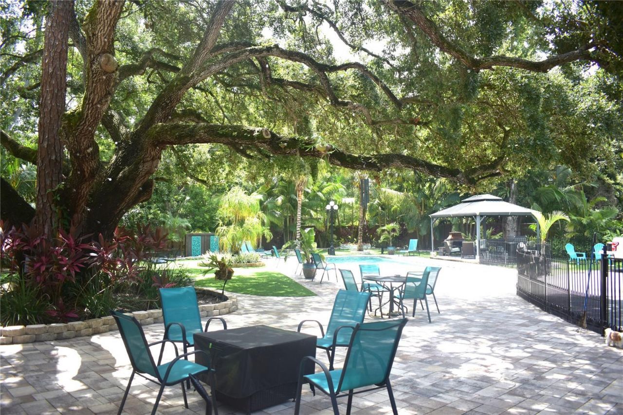 1653 Sunnybrook Lane , Clearwater, FL 33764 Photo