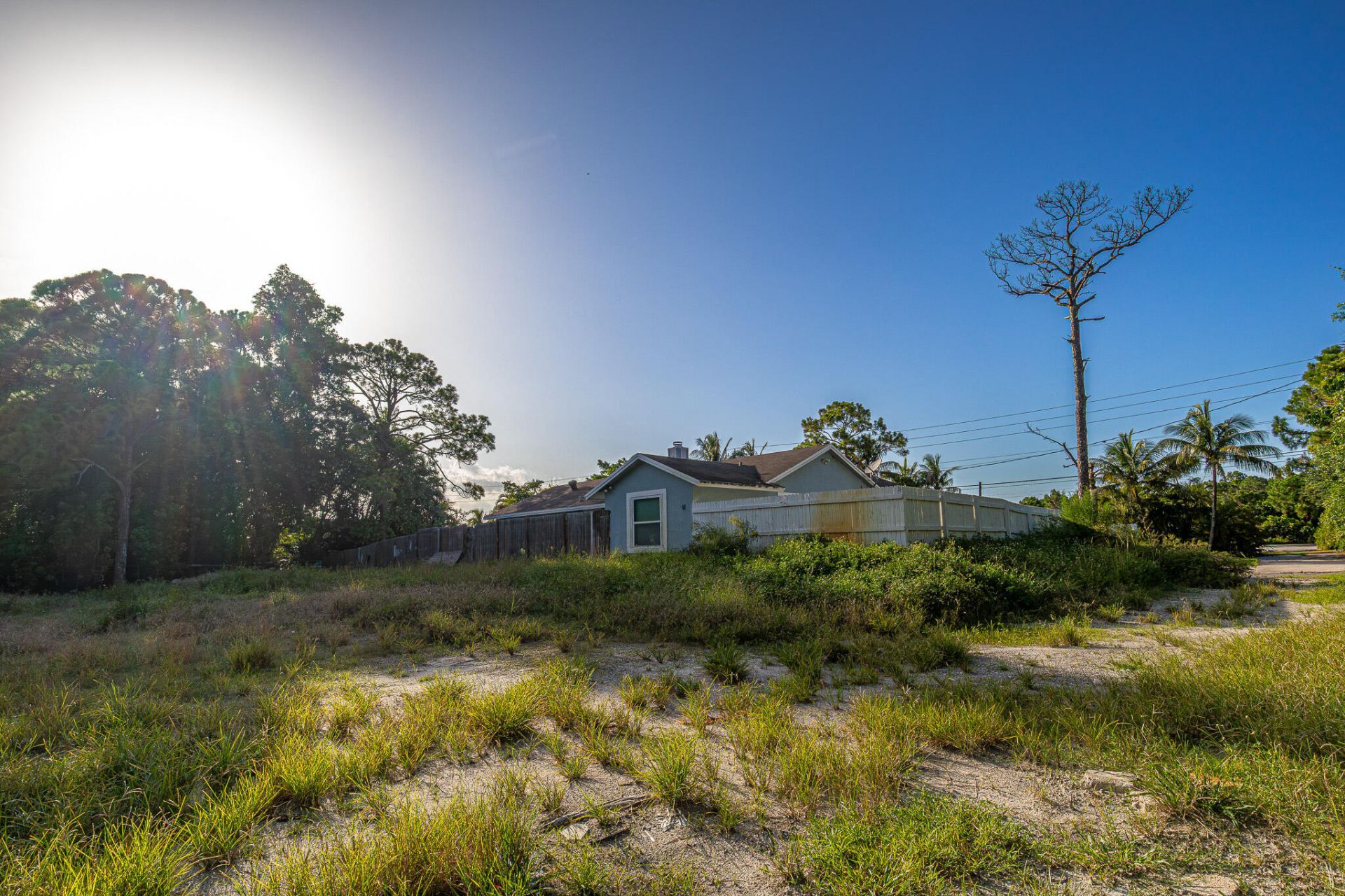 11714 Orange Boulevard, The Acreage, FL 33412 Photo