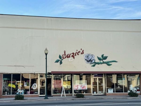 109 N OHIO AVE, Live Oak, FL 32064