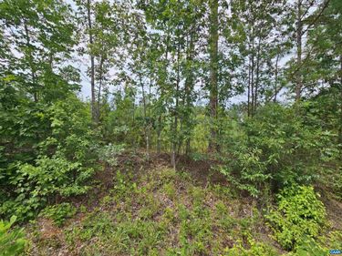 2.78 Ac PENLAN RD, Arvonia, VA 23004
