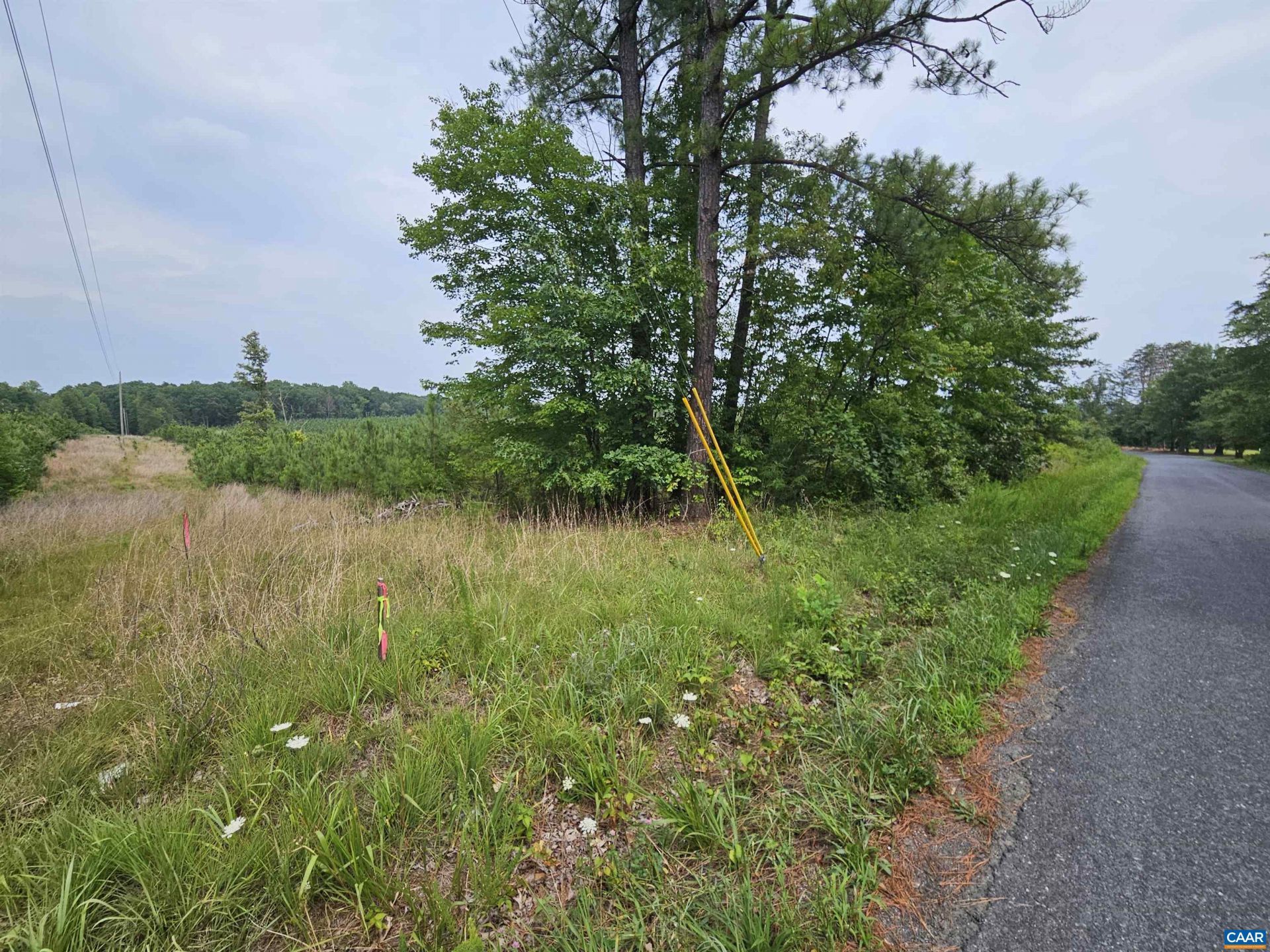 4 Ac Penlan Rd, Arvonia, VA 23004 Main Photo