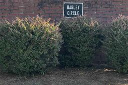 1520 Harley Cir photo 4