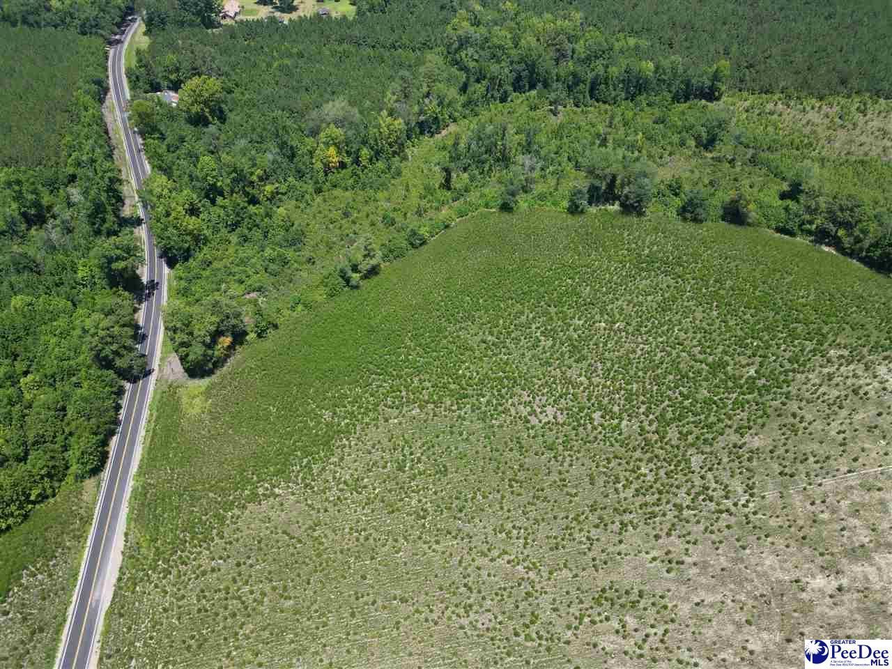 8.14 Acres Off Dalcho Rd Photo 6