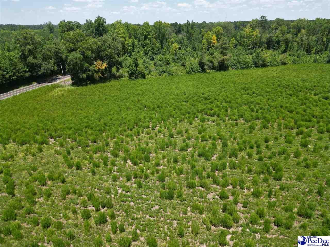 8.14 Acres Off Dalcho Rd Photo 9