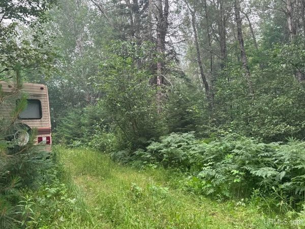 TBD Co Rd 601 Road, Republic Twp, MI 49879