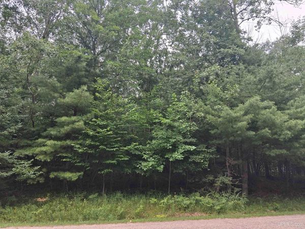 TBD Hill Street, Norway Twp, MI 49892