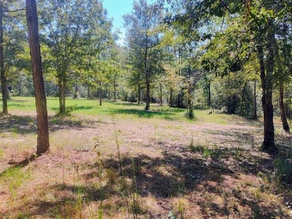 0 Sam Lewis Road , Wilmer, AL 36522