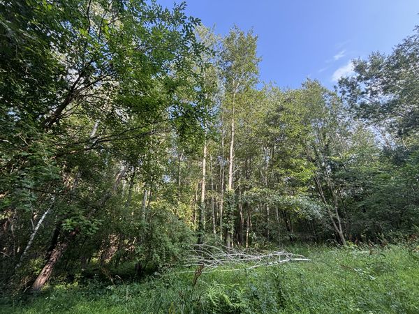Jacob Road, Grass Lake, MI 49240