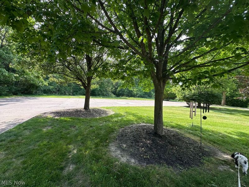 552 Main Street, Unit H, Wadsworth, OH 44281 Photo 13