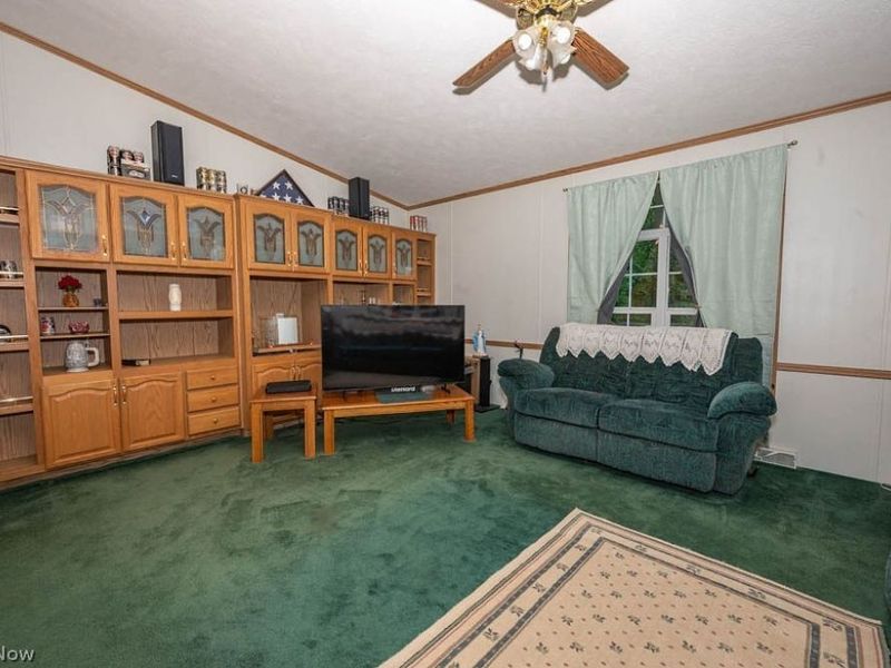 3020 State Route 164, Leetonia, OH 44431 Photo 19