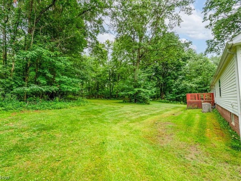 3020 State Route 164, Leetonia, OH 44431 Photo 6