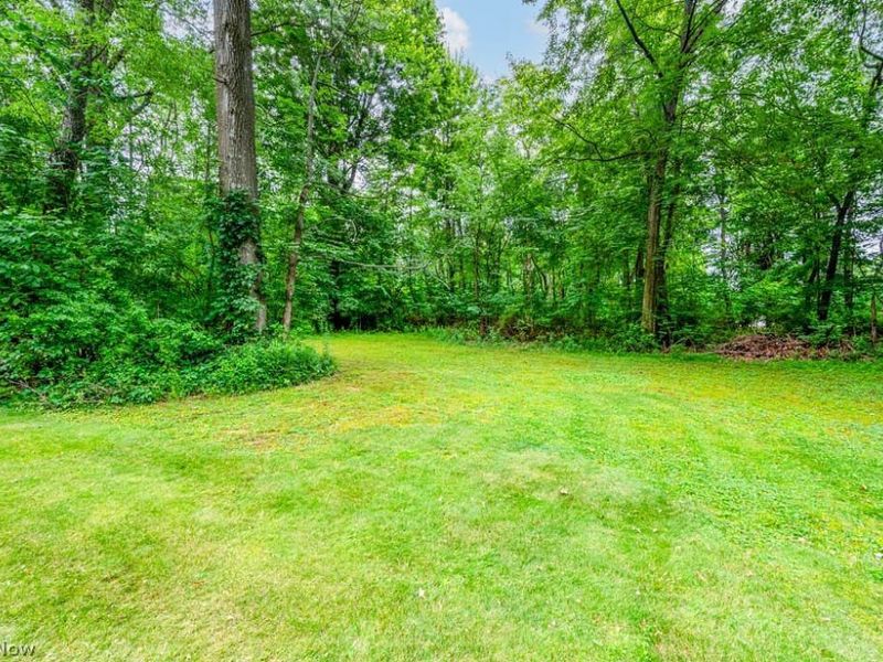 3020 State Route 164, Leetonia, OH 44431 Photo 9